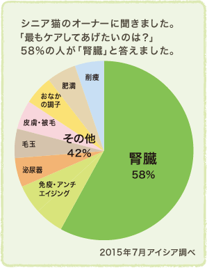 シニア猫のオーナーに聞きました。「最もケアしてあげたいのは？」58%の人が「腎臓」と答えたほど、腎臓病予防は大切。