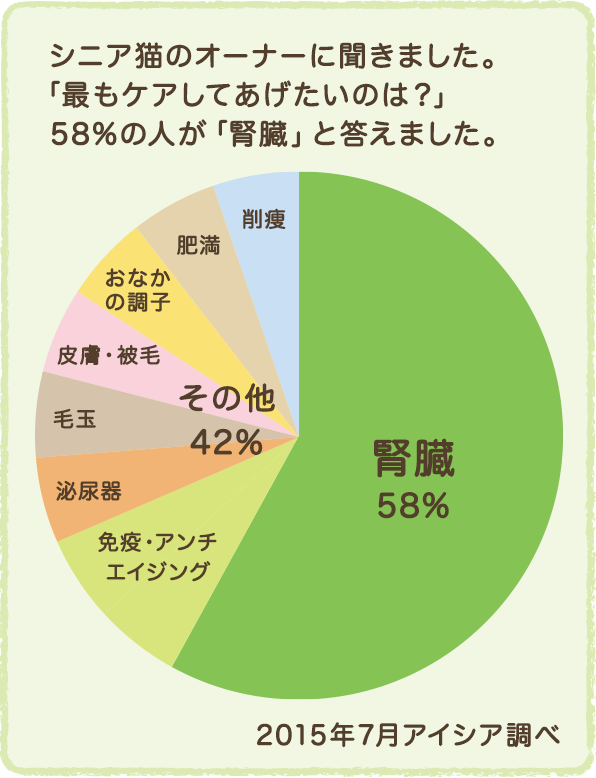 シニア猫のオーナーに聞きました。「最もケアしてあげたいのは?」58%の人が「腎臓」と答えました。